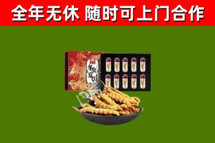 定西市回收冬虫夏草价格